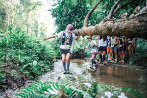 BIB: 
                            <button type="button" onclick="openModal(25472585)" class="btn btn-primary btn-sm float-right btn-popup" data-toggle="modal" data-target=".modal-high-quality">
                        <i class="fas fa-shopping-cart"></i> Add to Cart
                    </button>
                                            <button type="button" onclick="isThisMe(25472585, true)" class="btn btn-success btn-sm float-right btn-popup btn-isme hidden" data-toggle="tooltip" data-placement="bottom" title="นี่คือรูปของคุณใช่ไหม คลิกที่นี่เพื่อเอาเข้าอัลบั้ม">
                        <i class="fas fa-plus"></i> Add to album
                    </button>
                    <button type="button" onclick="isThisMe(25472585, false)" class="btn btn-warning btn-sm float-right btn-popup btn-isnotme hidden">
                        <i class="fas fa-ban"></i> Remove from album
                    </button>